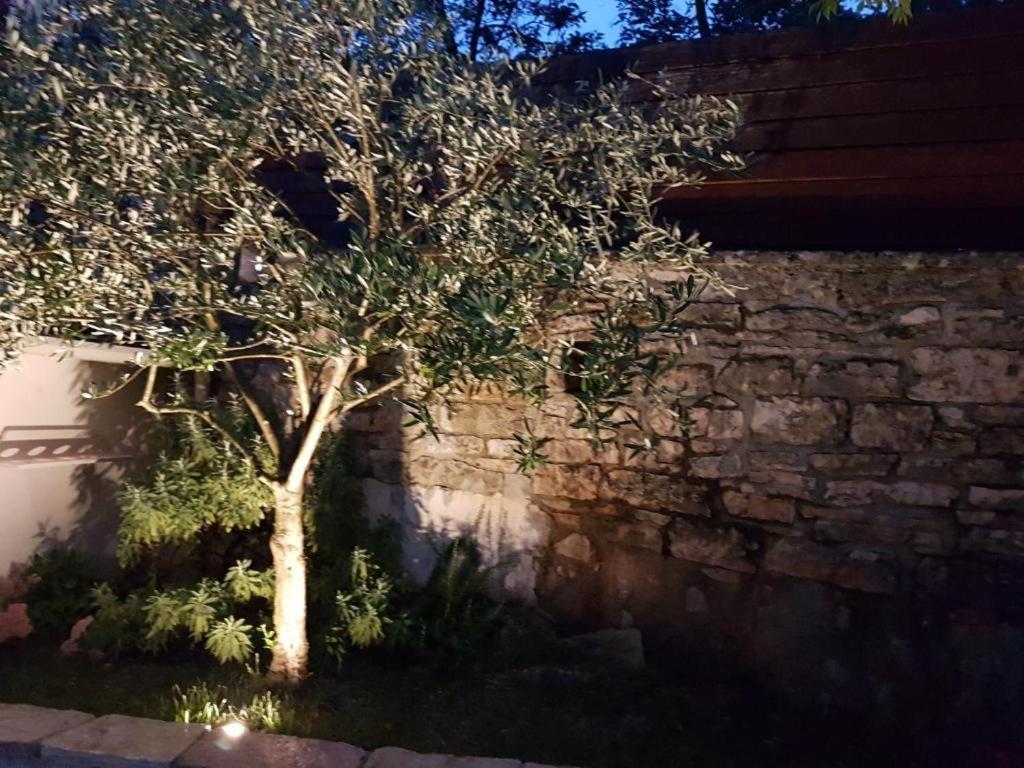 فيلا Haus Delma Brajkovici  المظهر الخارجي الصورة